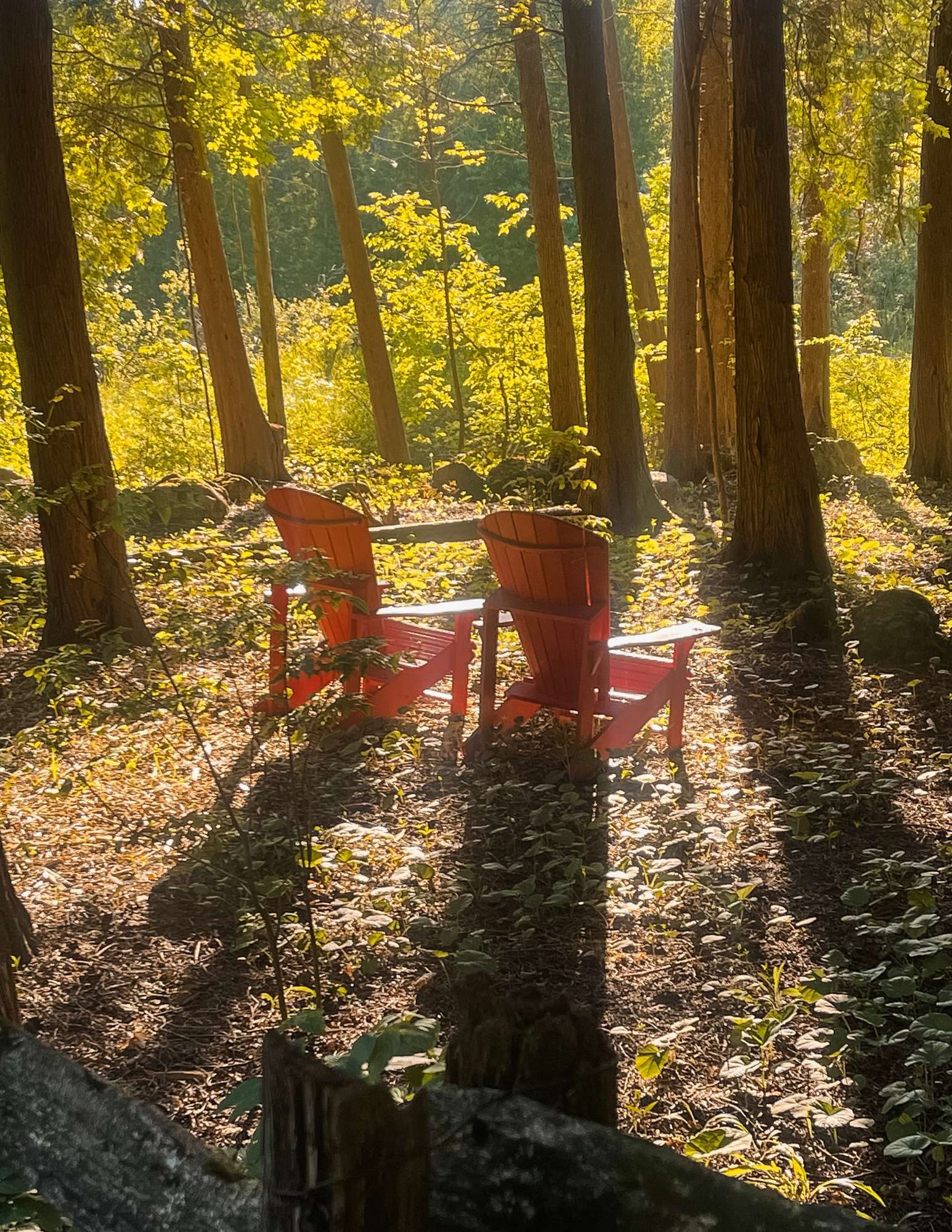 Dana Chapman - Red Chairs One Day Restorative Retreat